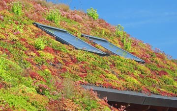 Low Thornley living roof systems