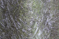 Low Thornley fibreglass roof work